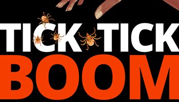 Tick Tick Boom! - a Podcast unravelling the mysteries of tick induced meat allergy
